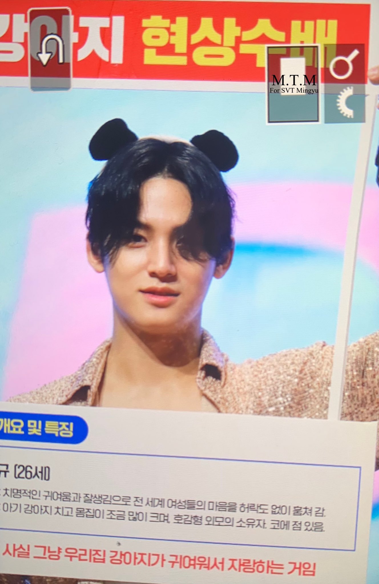 [잡담] 세븐틴 팬들은 대체 뭐하는 사람들임? | 인스티즈