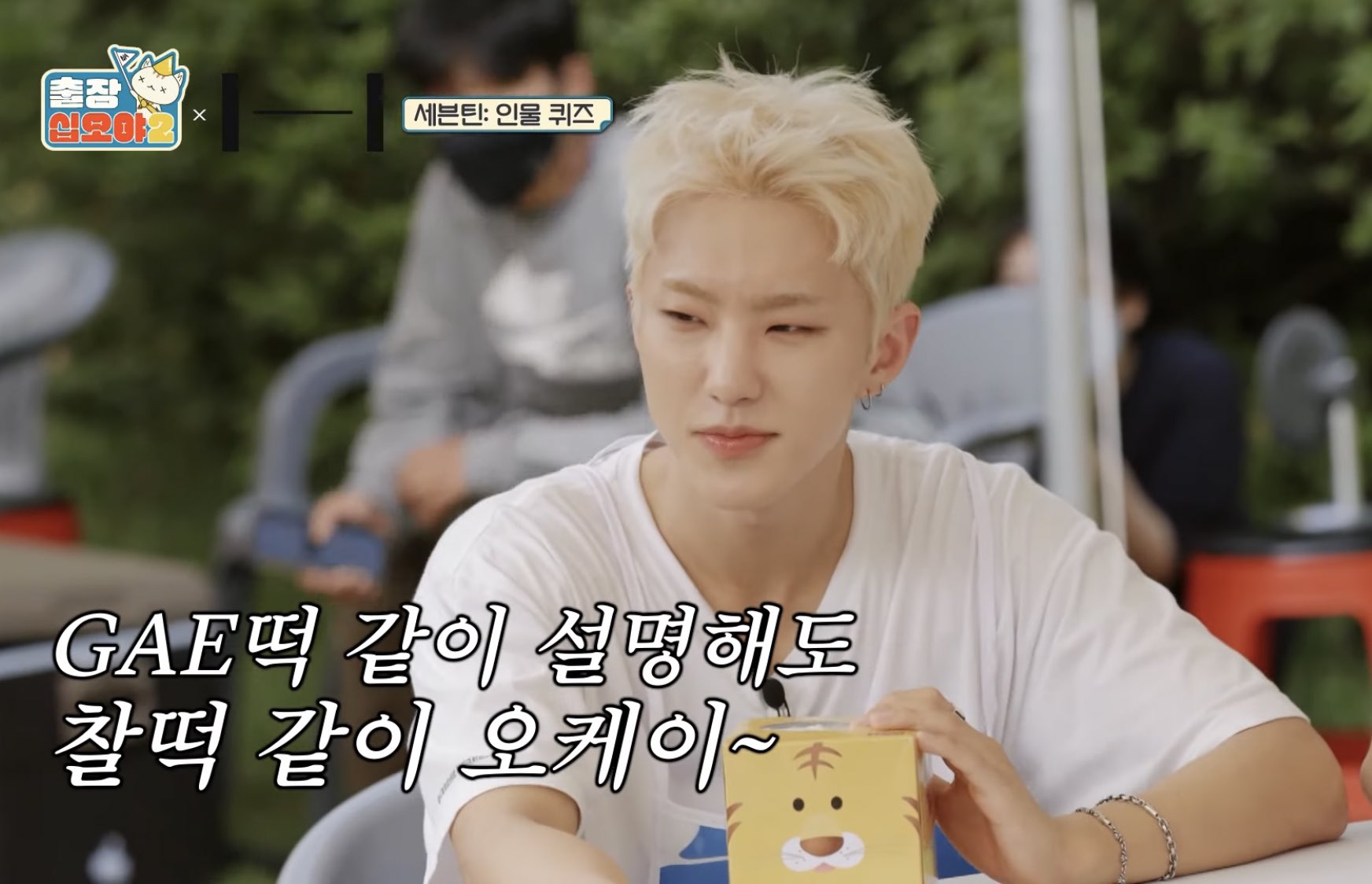 [잡담] 나피디님에게 세븐틴은 대체 어떤 그룹이죠 | 인스티즈