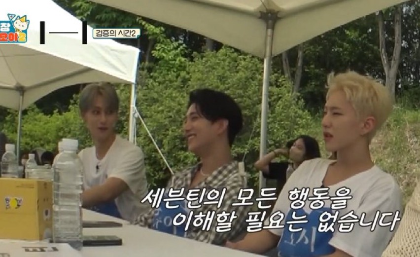 [잡담] 아침부터 나피디의 어떤 말이 떠오르는거지….(세븐틴 | 인스티즈