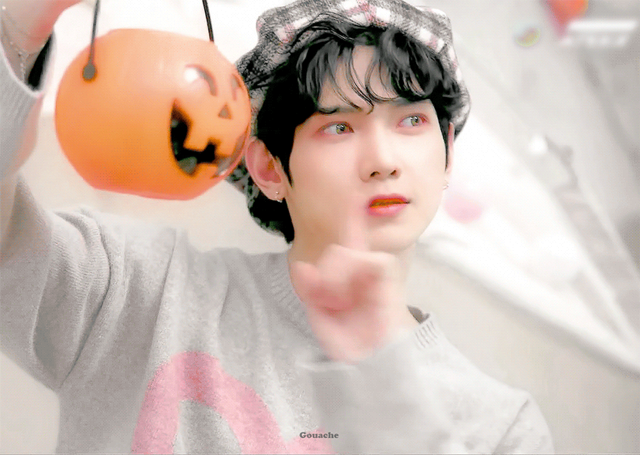 [잡담] 아기도라지 | 인스티즈