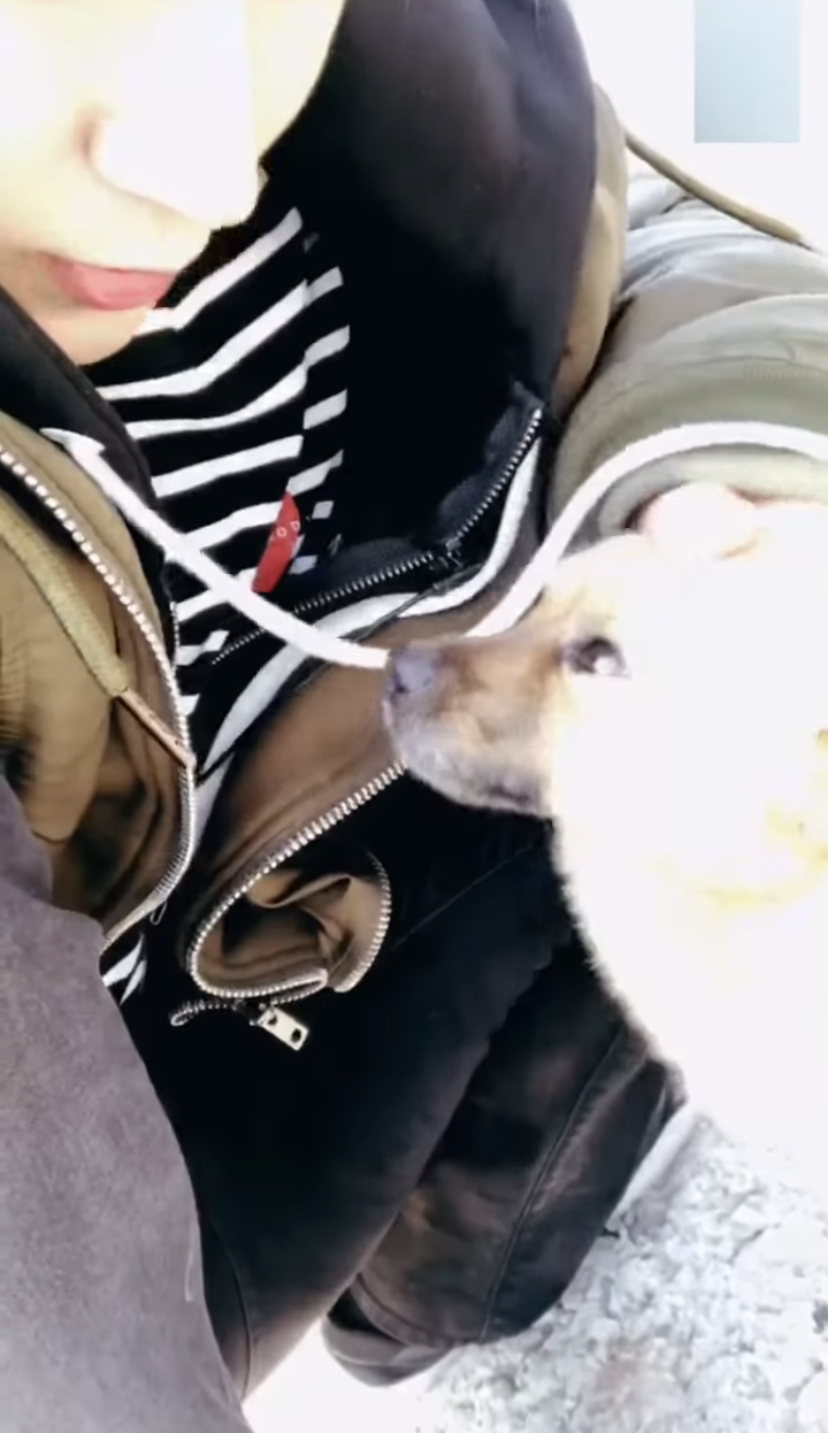 [잡담] 박서함 무해 한 거 동네 강아지도 알아 | 인스티즈