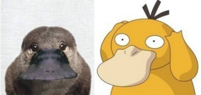 아니 고라파덕도 실존하는데 | 인스티즈