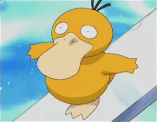 아니 고라파덕도 실존하는데 | 인스티즈