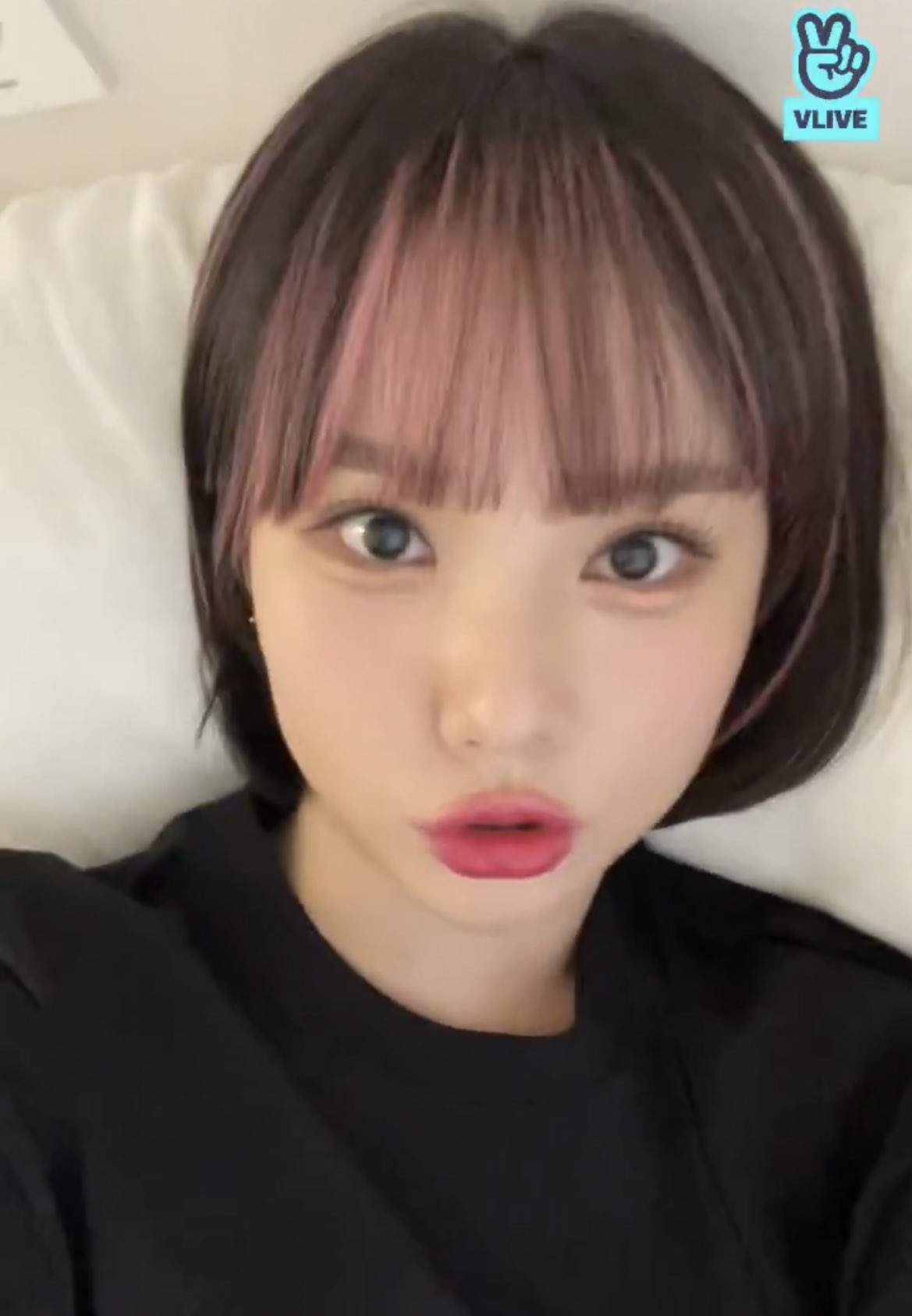 [잡담] 은하 브이앱하는데 진짜 얼굴 동그래 | 인스티즈