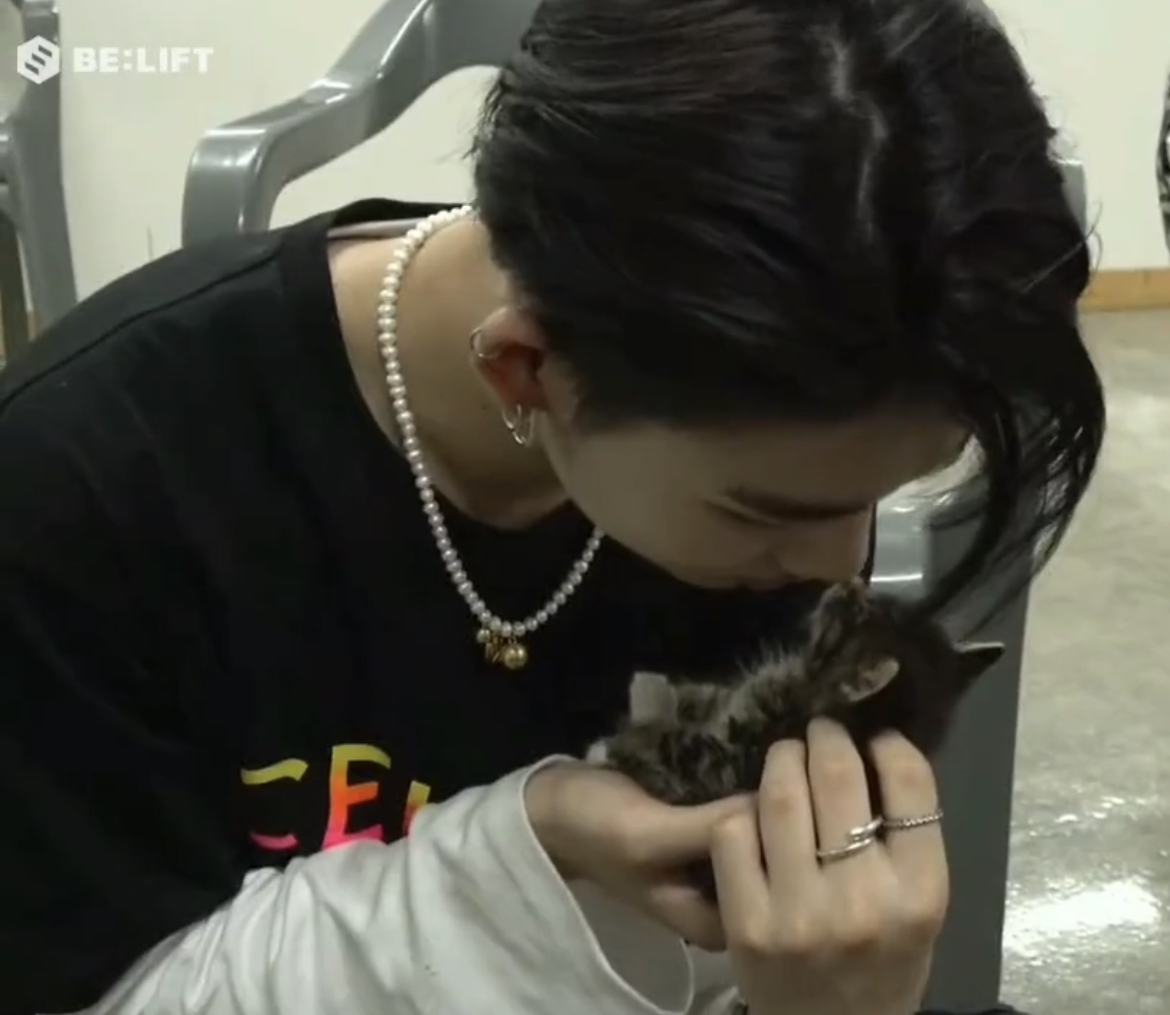 [잡담] 엔하이픈 촬영장에 아기고양이(not정원) 등장하면 | 인스티즈