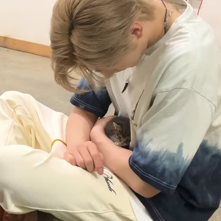 [잡담] 엔하이픈 촬영장에 아기고양이(not정원) 등장하면 | 인스티즈