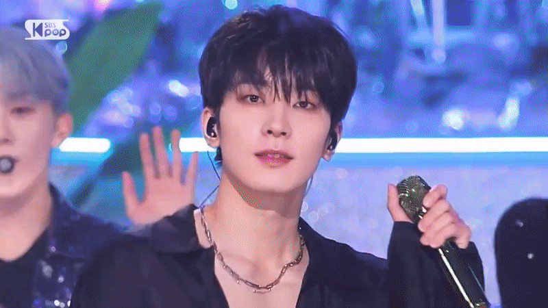 [잡담] 세븐틴 원우가 까만 고양이라는 아주 작은 증거 | 인스티즈