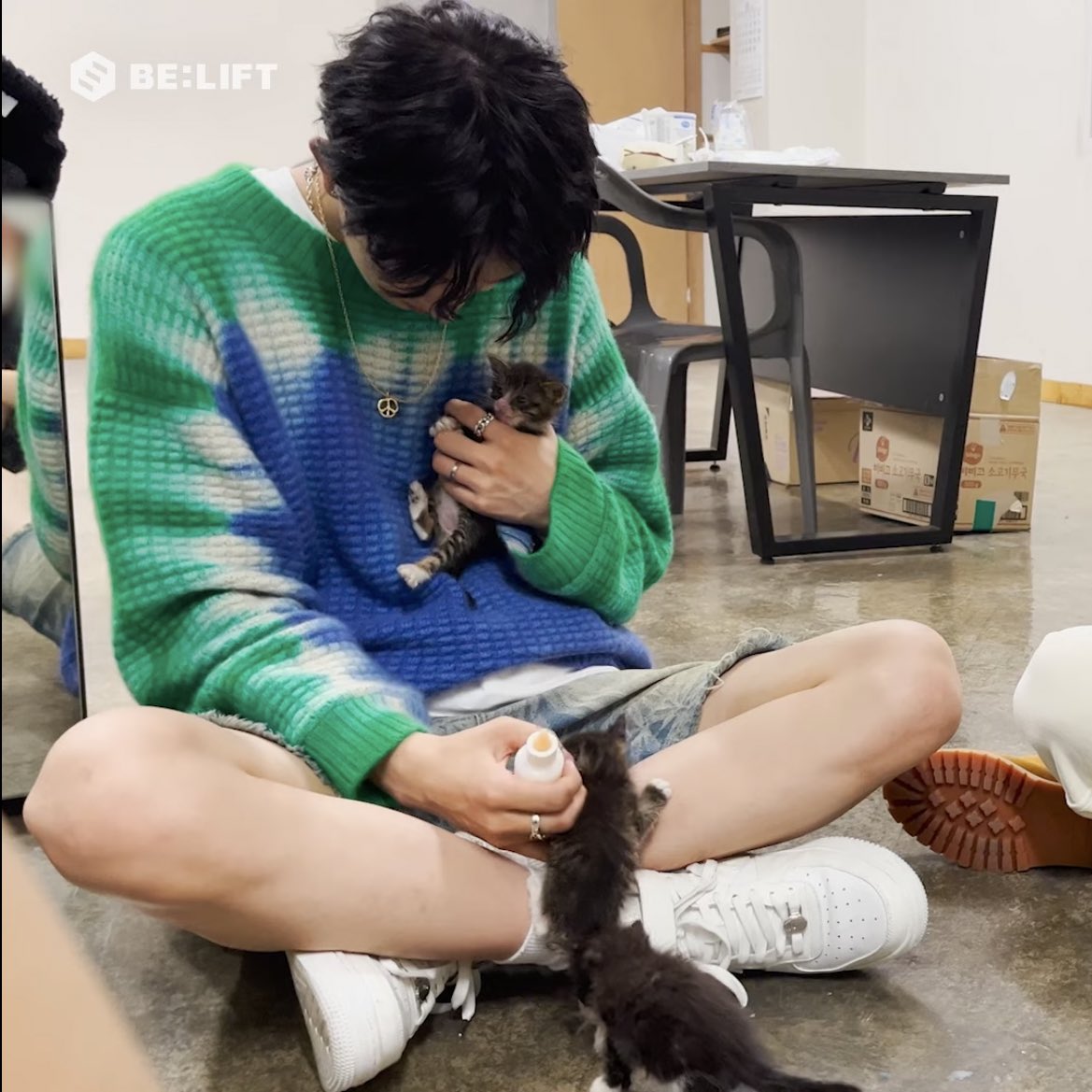 [잡담] 엔하이픈 촬영장에 아기고양이(not정원) 등장하면 | 인스티즈