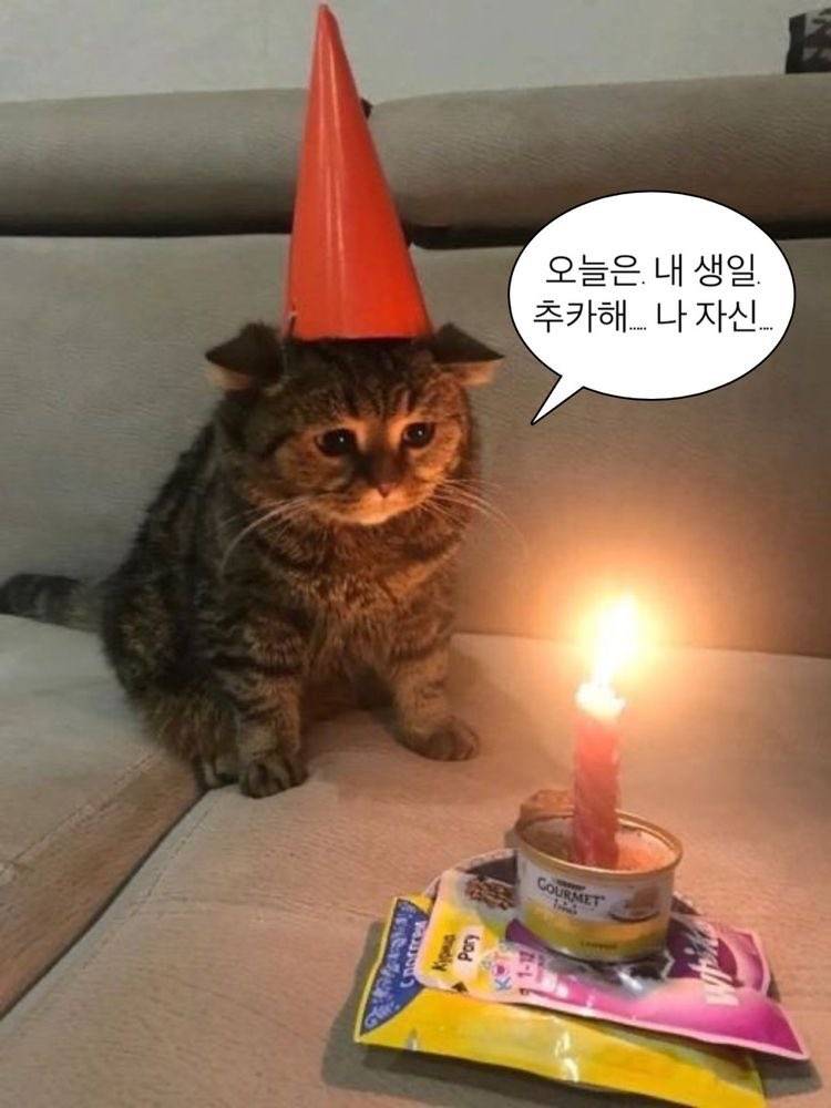 나~오늘~생일이다~💖🥹🤍❤️💙🥳✨💓 | 인스티즈