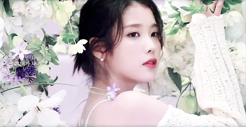 [잡담] 아이유 콘서트 가야하는 이유 떴다 ㄷㄷ | 인스티즈