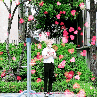 [잡담] 장준이 이짤 어디에올라왓던거임? | 인스티즈