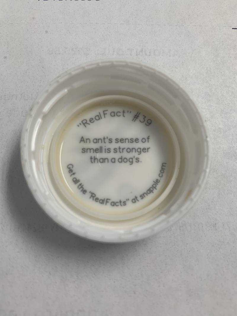 익들 이거 알고있았음? | 인스티즈