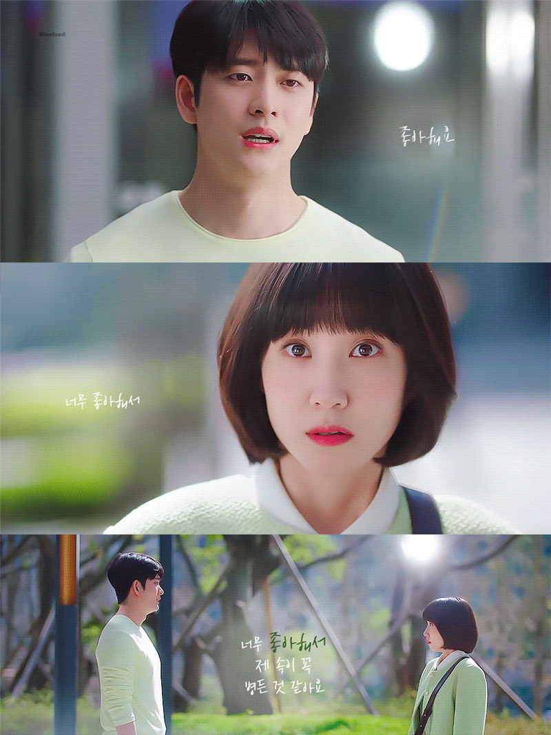 [잡담] 처음 만난 장소에서 고백한 영우한테 고백한 준호🐳 | 인스티즈