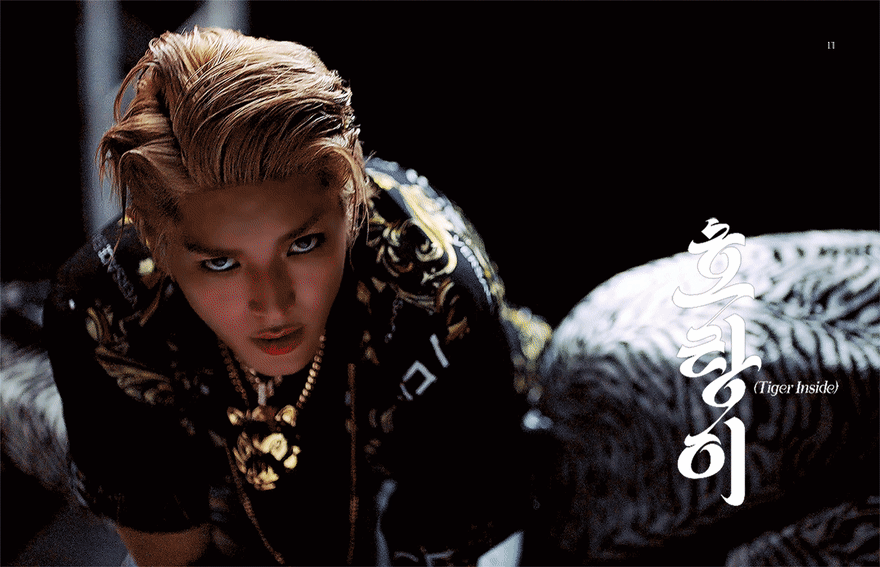 [잡담] 주입식 호랑이 말고 진짜 호랑이파들 | 인스티즈