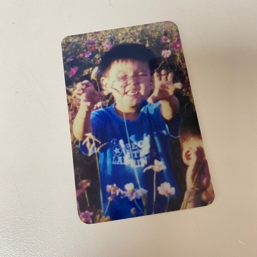 [잡담] 세븐틴 호시의 호랑이 사랑은 호시로 예명 지어진 때 부터가 아니었네 | 인스티즈