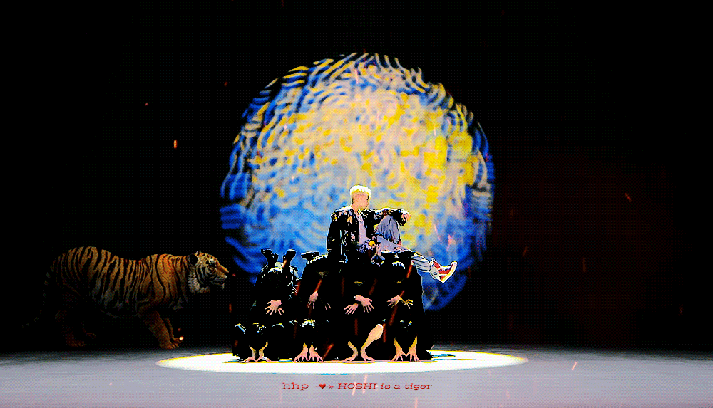 [잡담] 와 호시 호랑이 천재 움짤 떴다 | 인스티즈