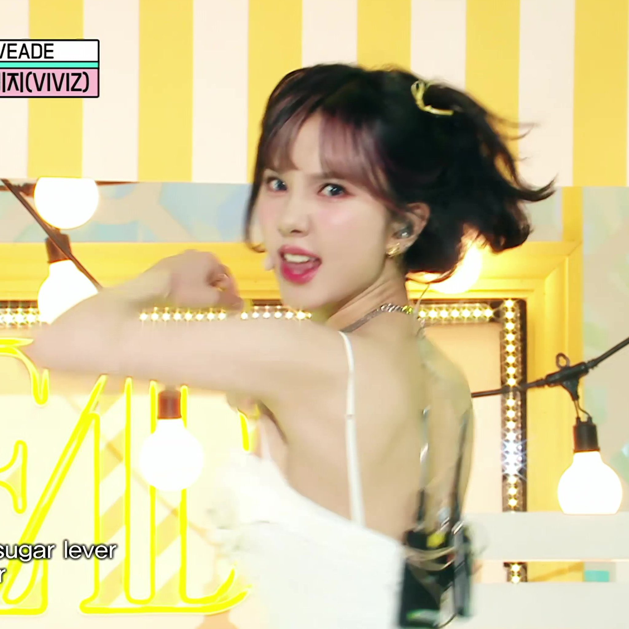 [잡담] 아 말티즈짤 붙인 거 중에 젤 닮은 것 같아 ㅋㅋㅋㅋㅋㅋ | 인스티즈