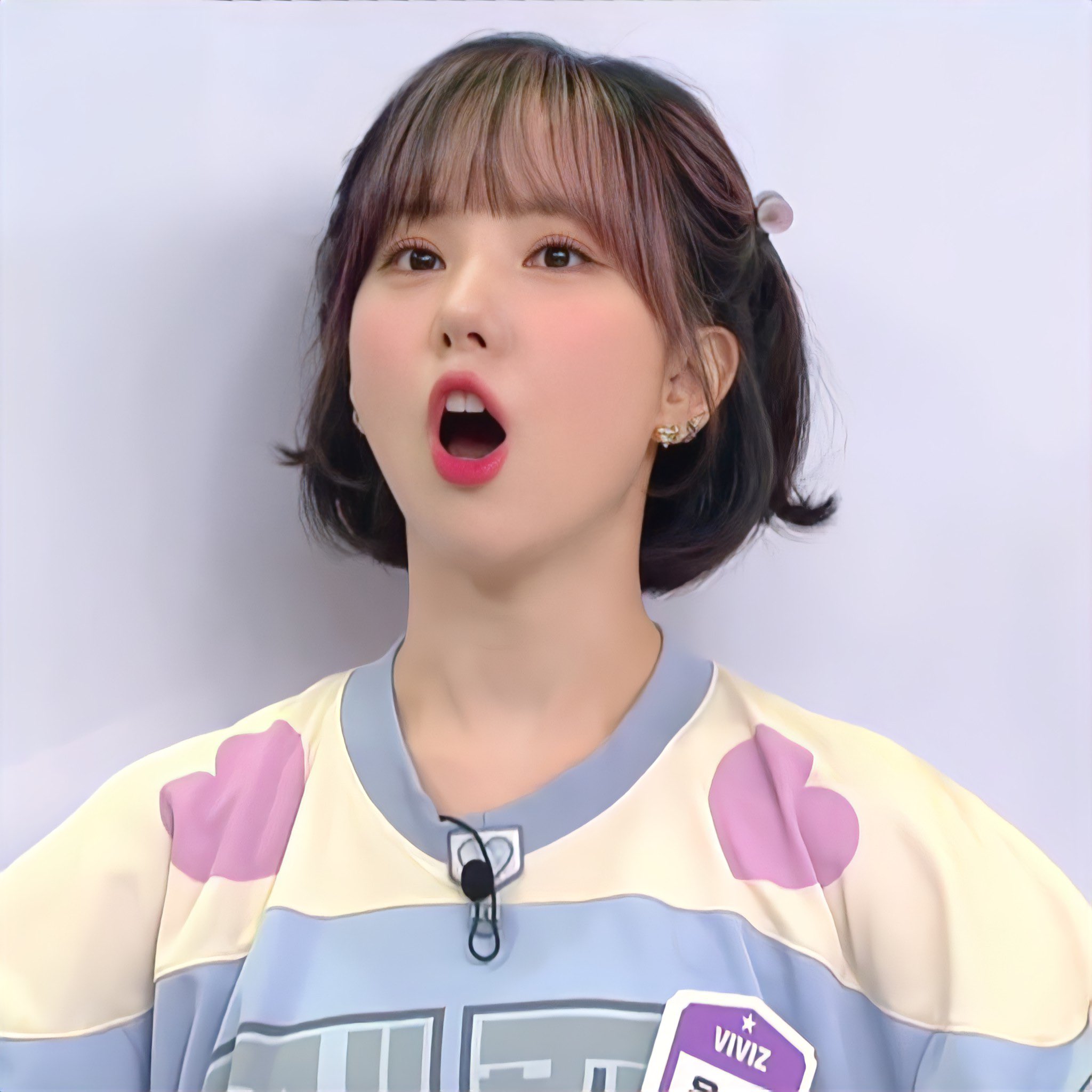 [잡담] 아 말티즈짤 붙인 거 중에 젤 닮은 것 같아 ㅋㅋㅋㅋㅋㅋ | 인스티즈