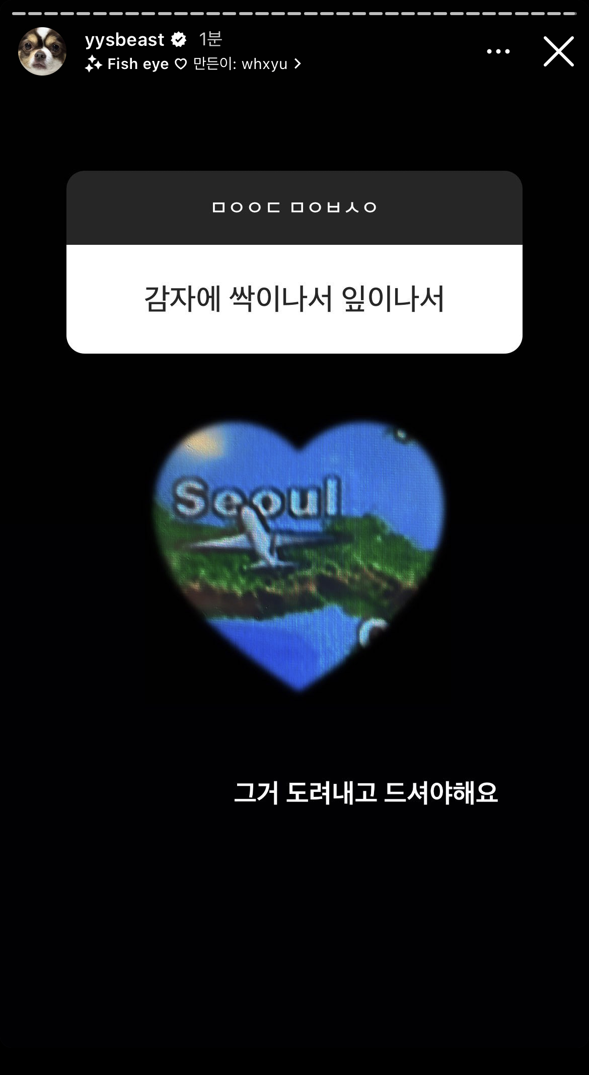 [잡담] 감자에 싹이나서 잎이나서 | 인스티즈