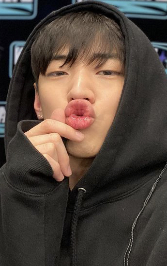 [잡담] 친구들아 인형 뭐살지 골라주라!!!! | 인스티즈