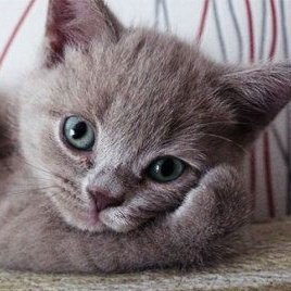 [잡담] 엥? 해린이 뭐하는 거임? 혀 낼름..?? | 인스티즈