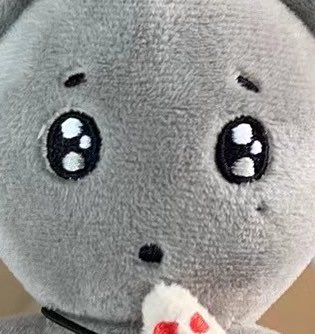 [잡담] 도겸이 인형 진짜… 미친 스타성… | 인스티즈