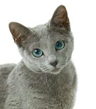 [잡담] 둘 중 누가 해린이임? | 인스티즈