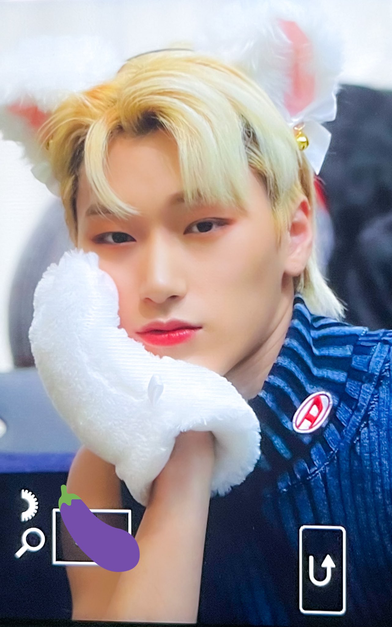 [잡담] 고양이 귀, 젤리, 꼬리 너무나 지대로고 귀여워 죽을 거 같음 | 인스티즈