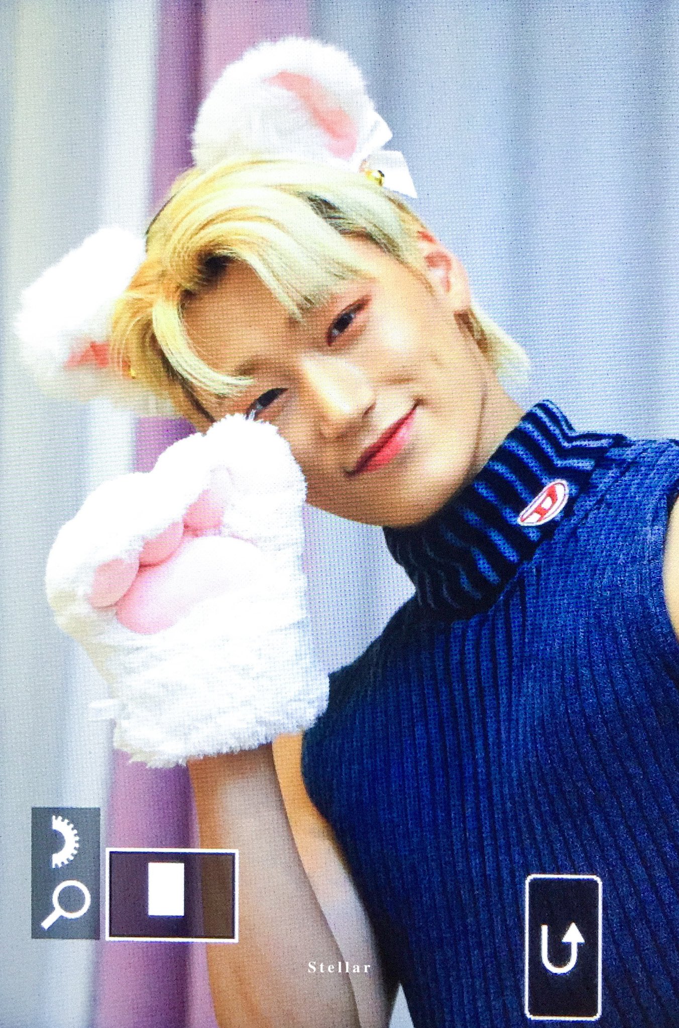 [잡담] 고양이 귀, 젤리, 꼬리 너무나 지대로고 귀여워 죽을 거 같음 | 인스티즈