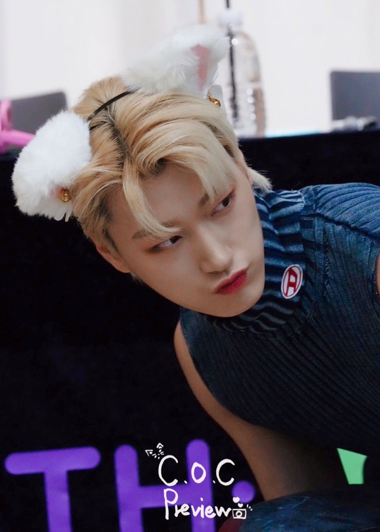 [잡담] 고양이 귀, 젤리, 꼬리 너무나 지대로고 귀여워 죽을 거 같음 | 인스티즈