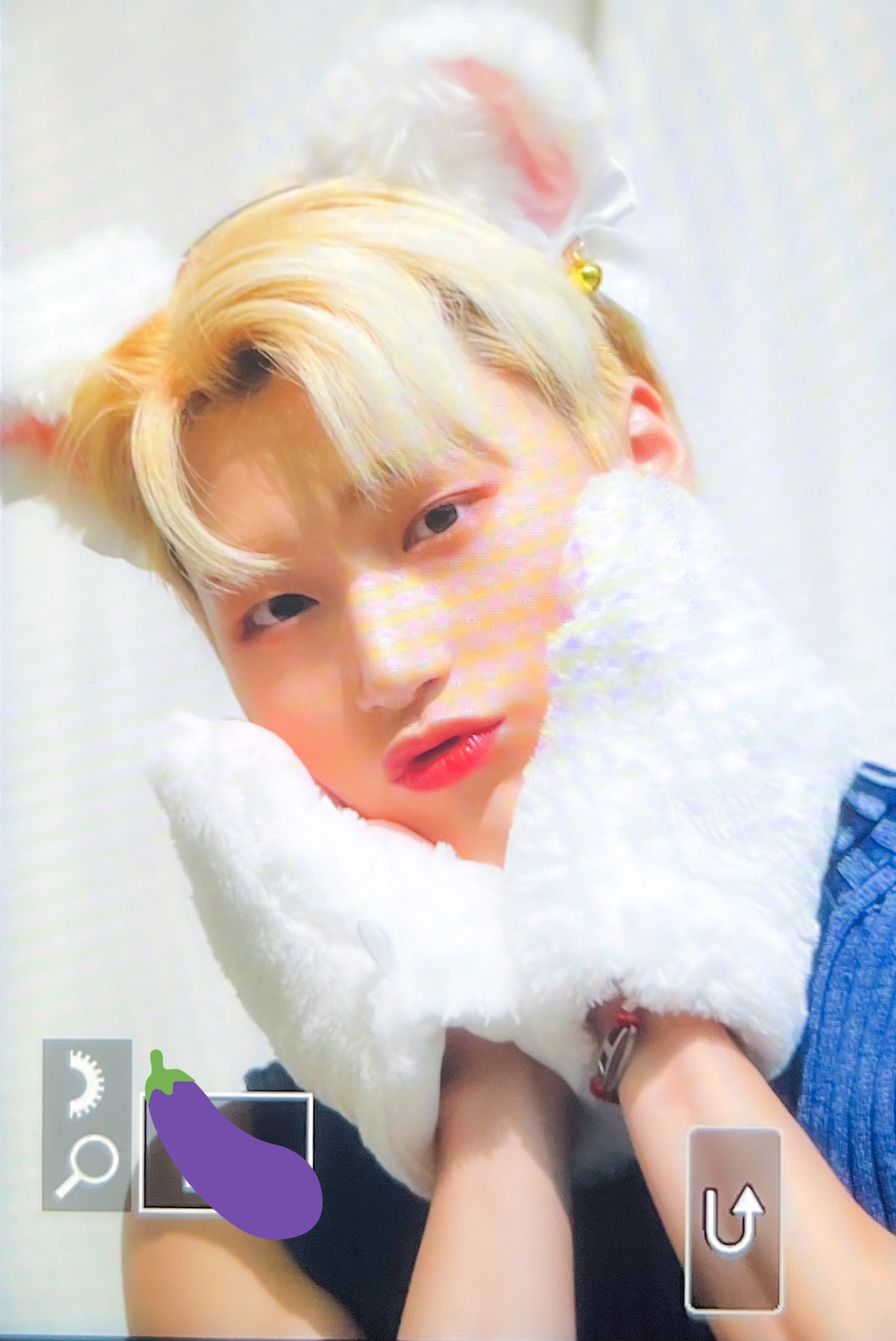 [잡담] 고양이 귀, 젤리, 꼬리 너무나 지대로고 귀여워 죽을 거 같음 | 인스티즈