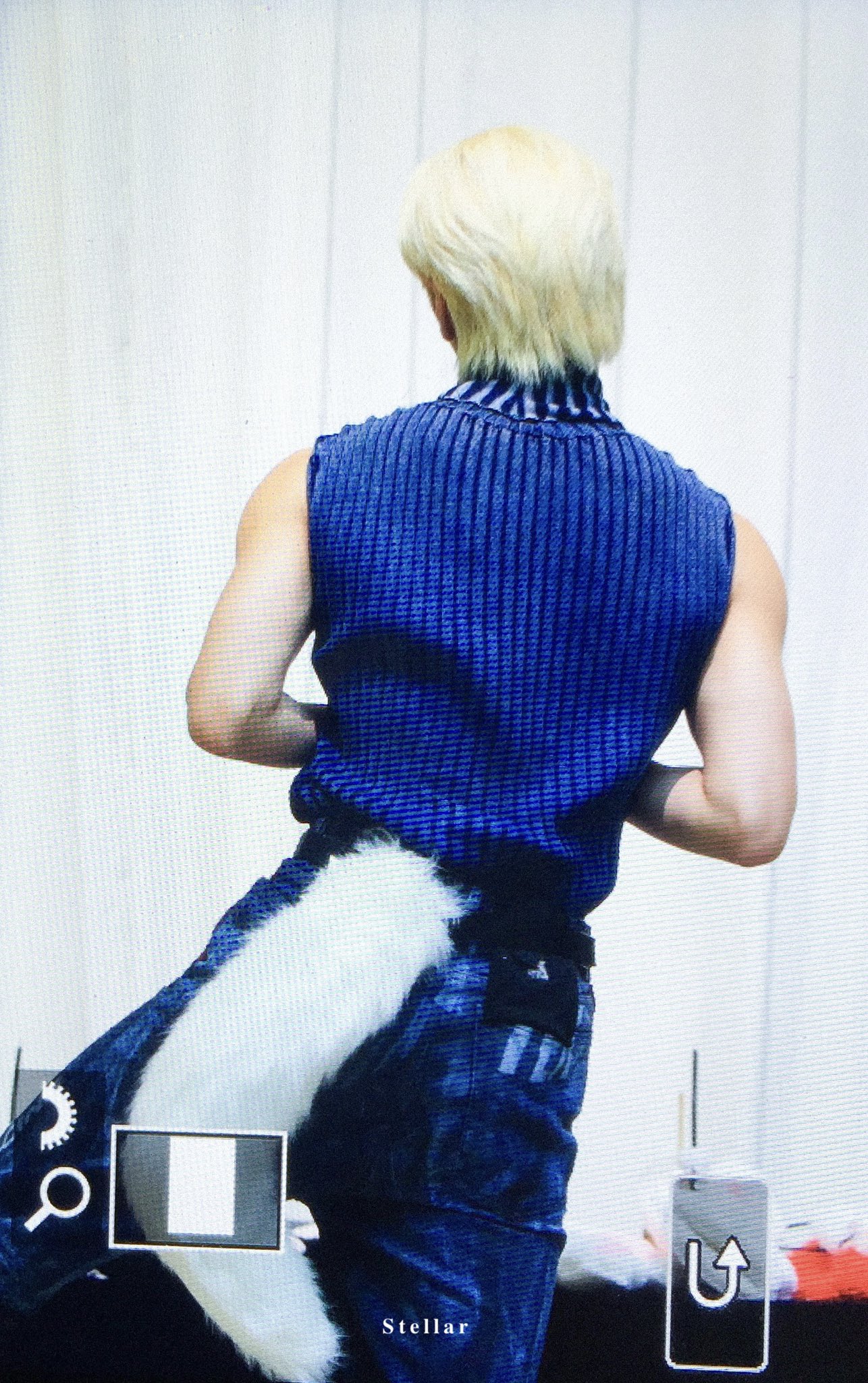 [잡담] 고양이 귀, 젤리, 꼬리 너무나 지대로고 귀여워 죽을 거 같음 | 인스티즈