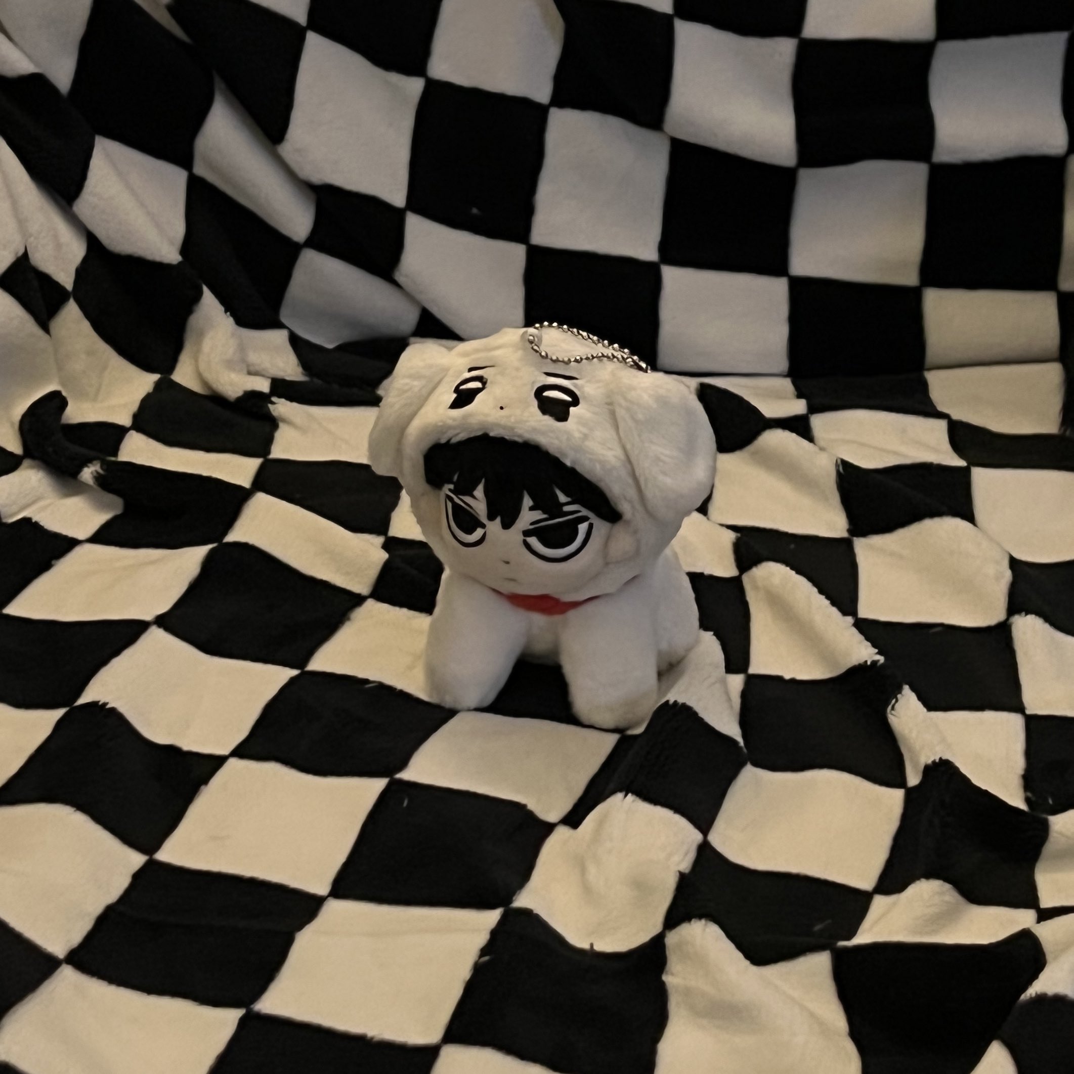 [잡담] 어떡하냐 이 인형 걍 윈터잡채임 | 인스티즈