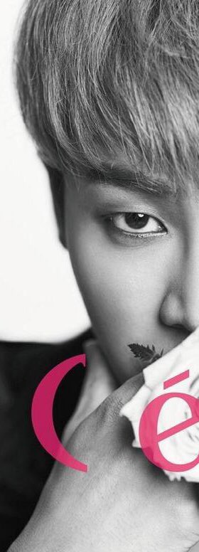 [잡담] 한 사람 얼굴에서 두 명이 보임ㅌㅋㅋㅋㅋㅋㅋㅋㅋㅈㅇ하이라이트 | 인스티즈