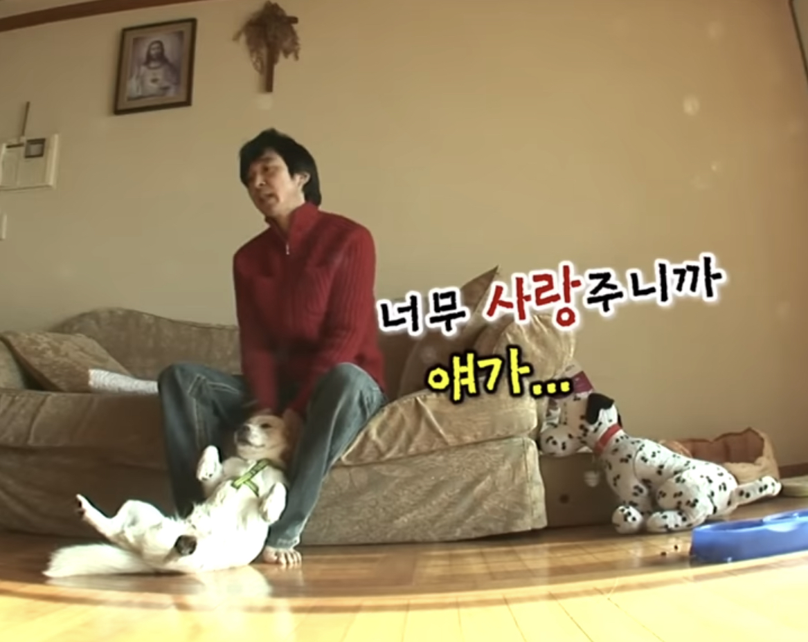 [잡담] 아니 유튜브 보다가 남자의 자격 유기견 임시보호(?)하는 편 떴는데 이거봐ㅠㅠㅠㅠㅠㅠㅠ | 인스티즈