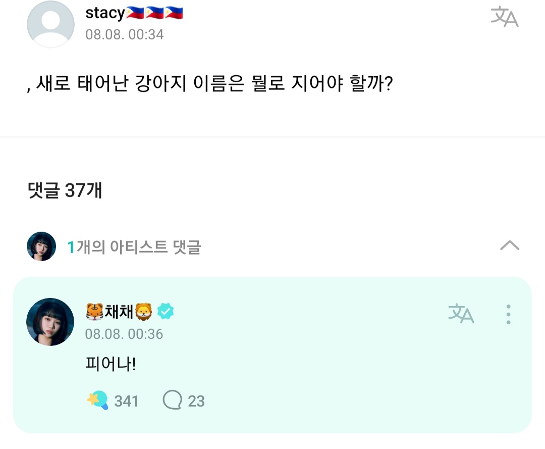 [잡담] 아니 김채원 팬들보다 더 신남 강아지 이름 지어달라는데 | 인스티즈