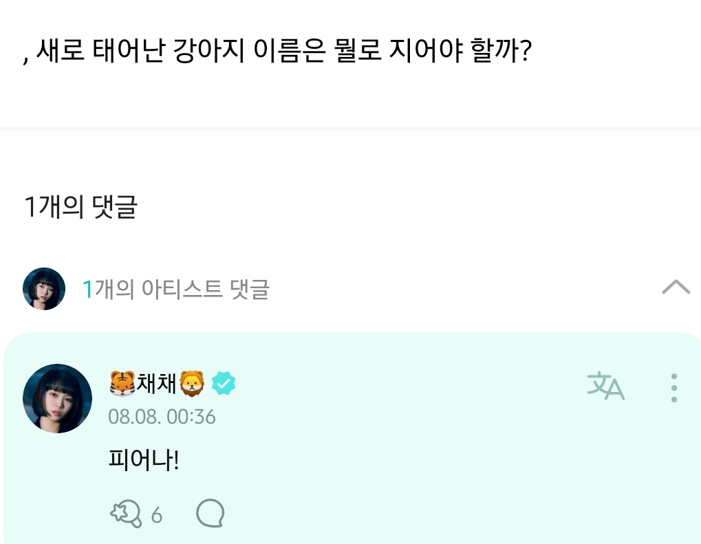 [잡담] 팬: 새로 태어난 강아지 이름은 뭘로 정해야할까? / 김채원: | 인스티즈