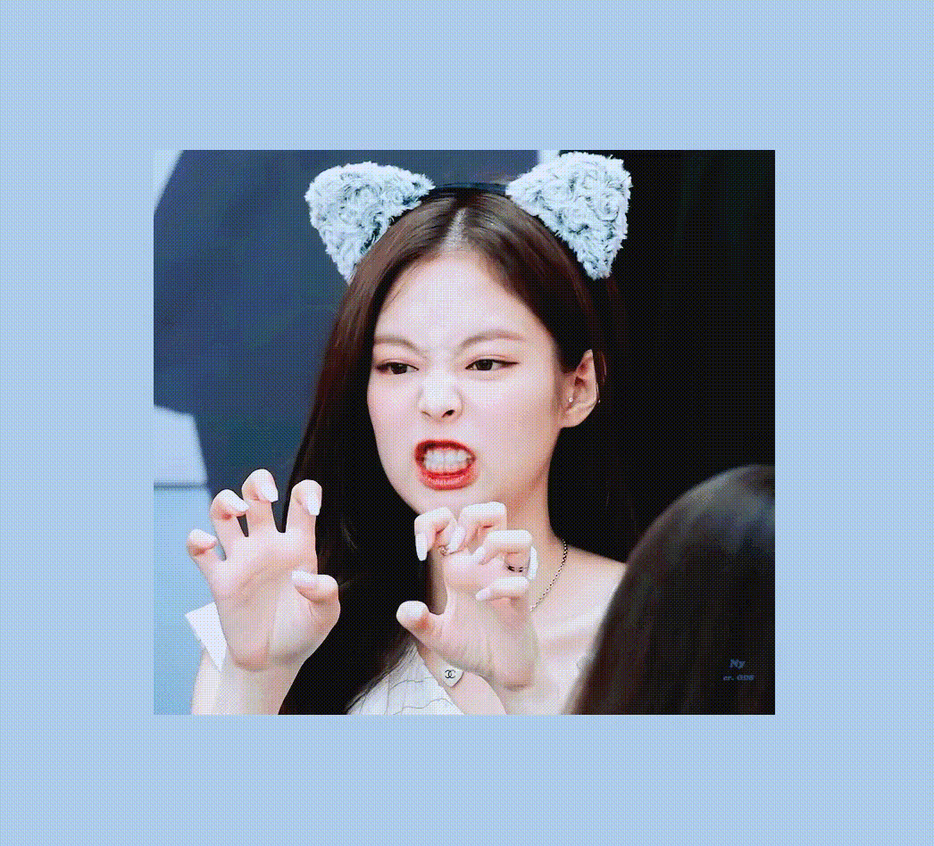 세계 고양이의 날에 데뷔한 고양이상 아이돌.jpg | 인스티즈