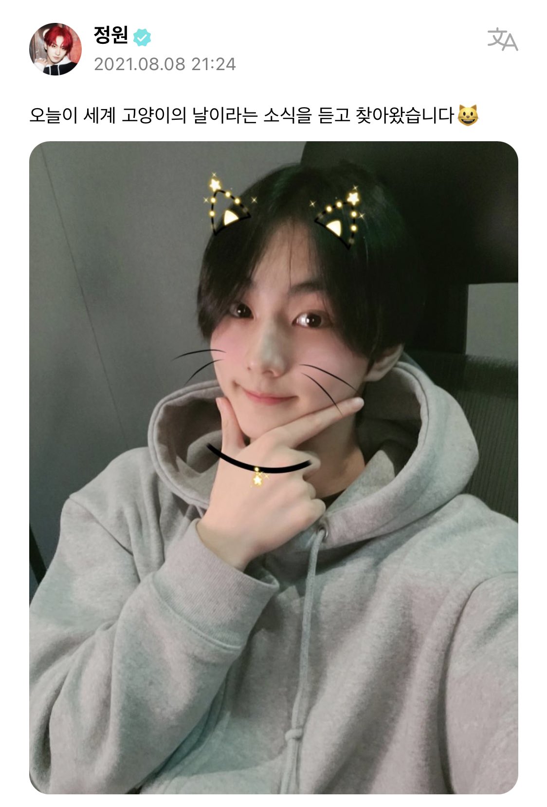 [잡담] 오늘이 세계 고양이의 날이라고 2년째 sns에 알려주는 남돌 | 인스티즈