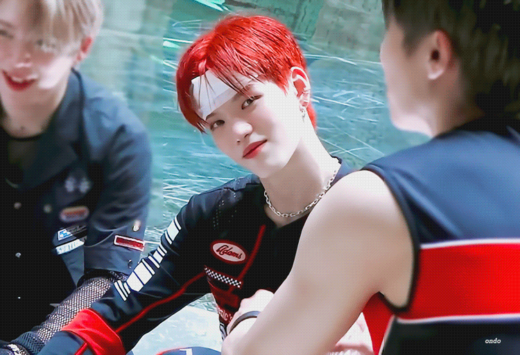 [잡담] 세계 고양이의 날을 맞아 우리집 고양이 자랑 🐱 | 인스티즈