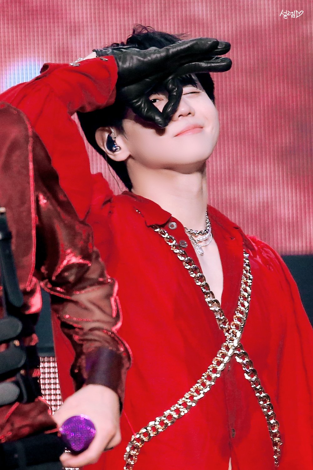 [잡담] 우리집 고양이 자랑😽 | 인스티즈