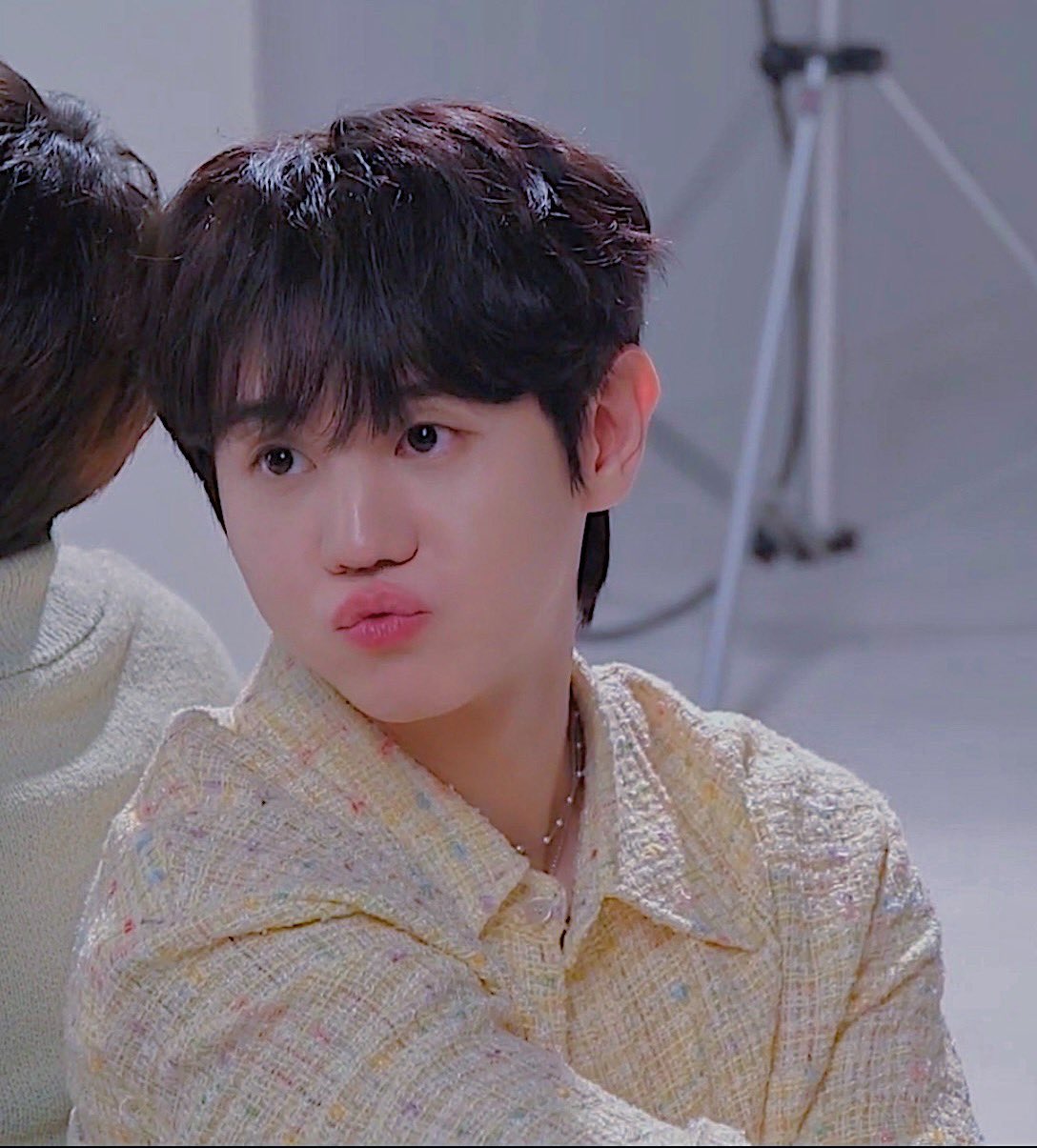 [잡담] 우리집 고양이 자랑😽 | 인스티즈