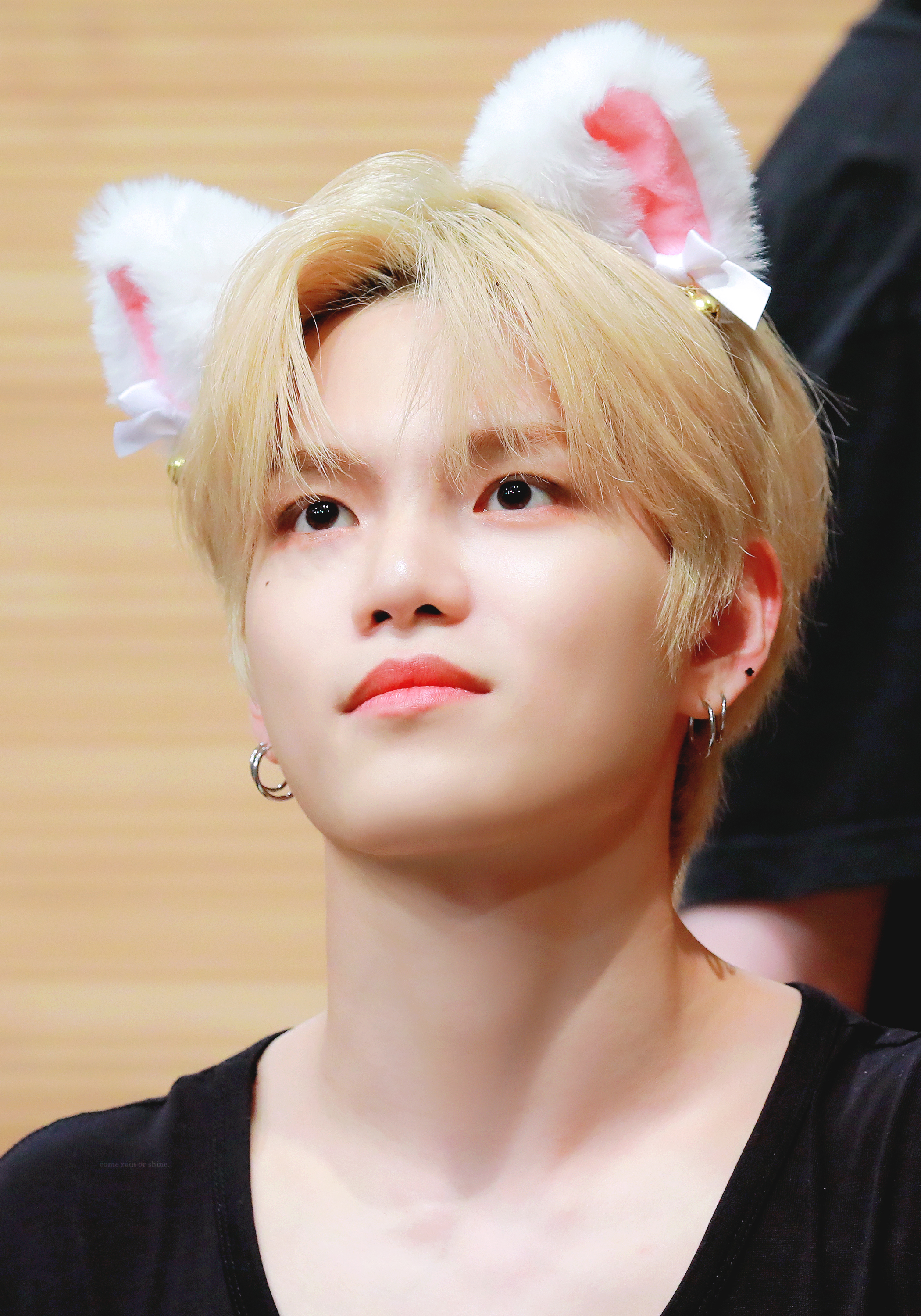 [잡담] 세계 고양이의 날을 맞아 우리집 고양이 자랑 🐱 | 인스티즈