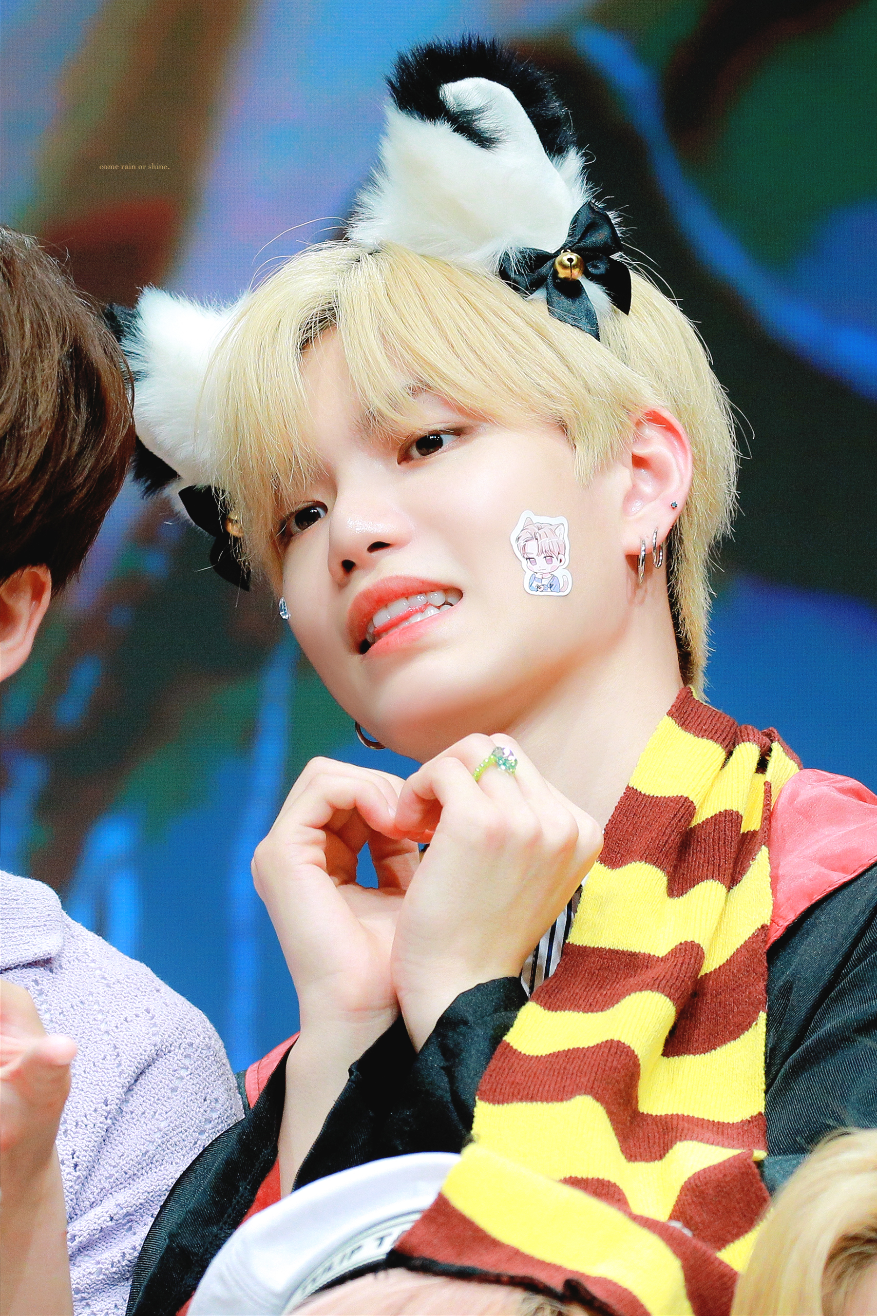 [잡담] 세계 고양이의 날을 맞아 우리집 고양이 자랑 🐱 | 인스티즈