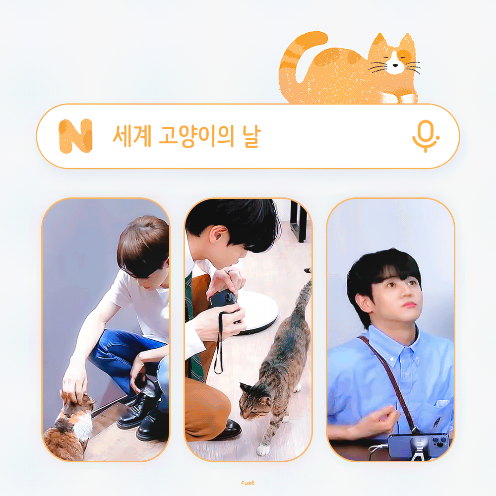 [잡담] 오늘 냥이 날이네 | 인스티즈