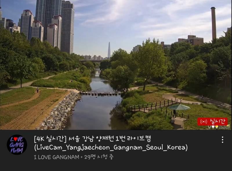 서울 강남 양재천 유튜브 보고 들어갔는데 | 인스티즈