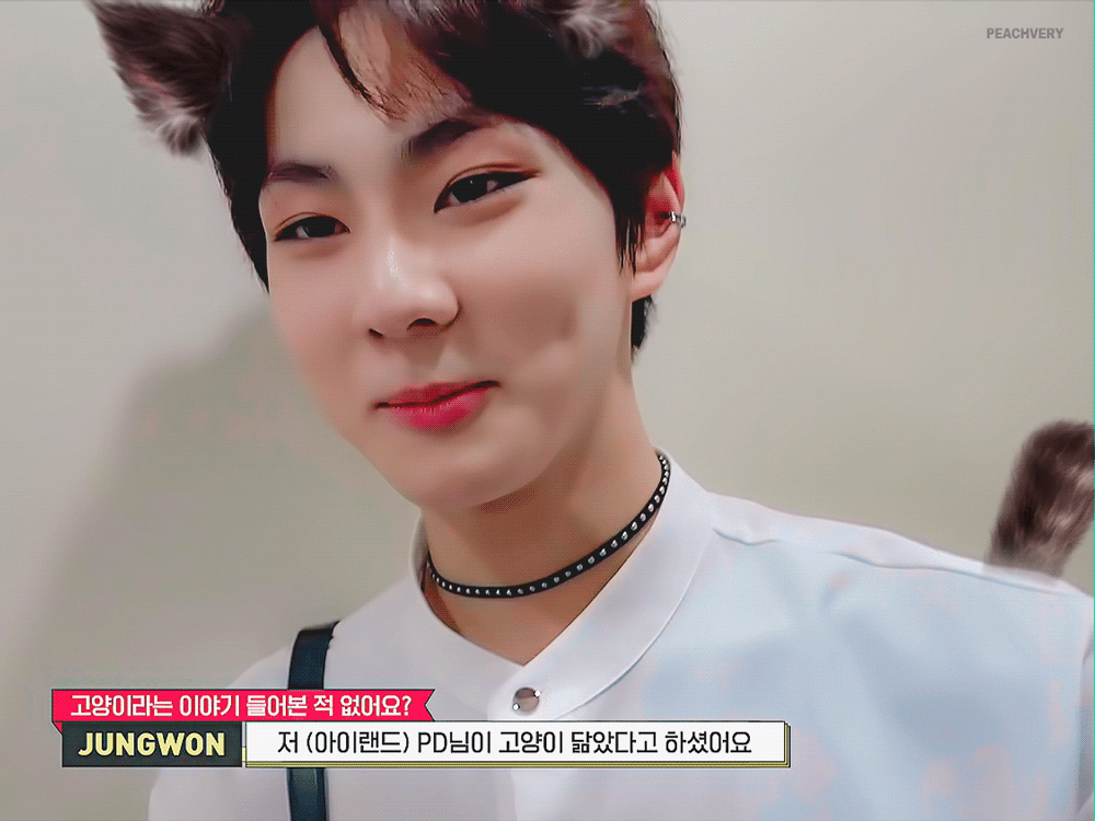 [잡담] 양정원 고양이날 매년 챙기는거 너무 귀엽닿 | 인스티즈