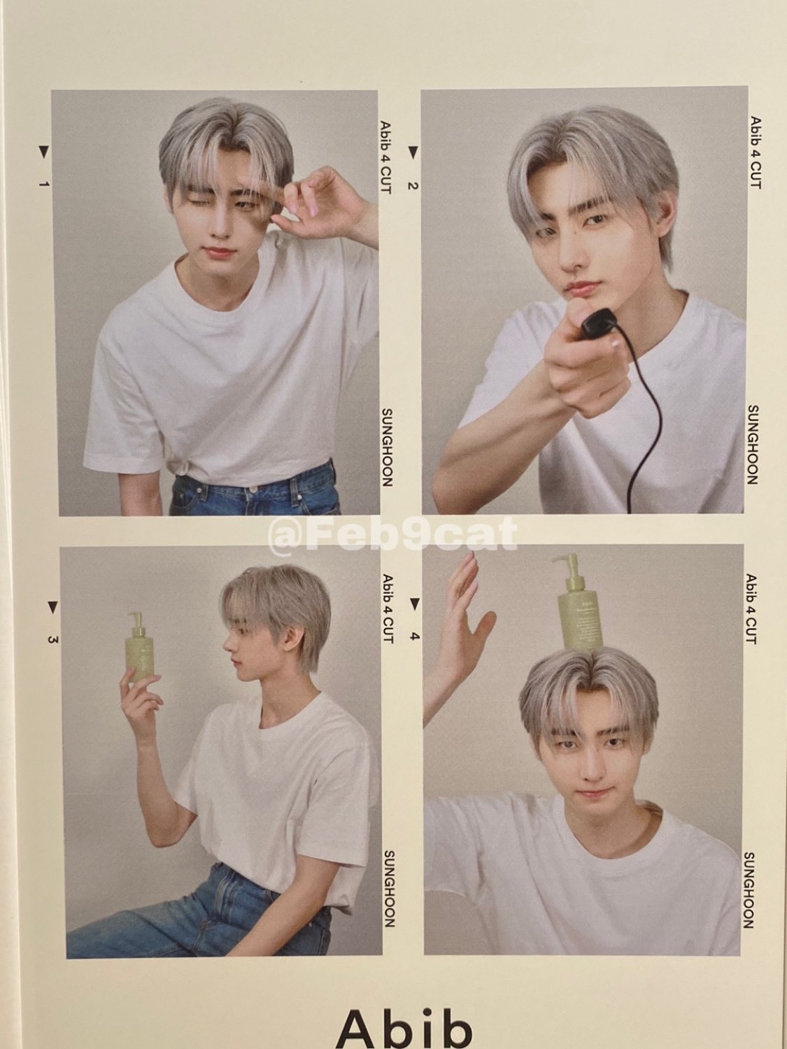 [잡담] 엔하이픈 팬 엔진들아 이거 한국에서는 못사? | 인스티즈