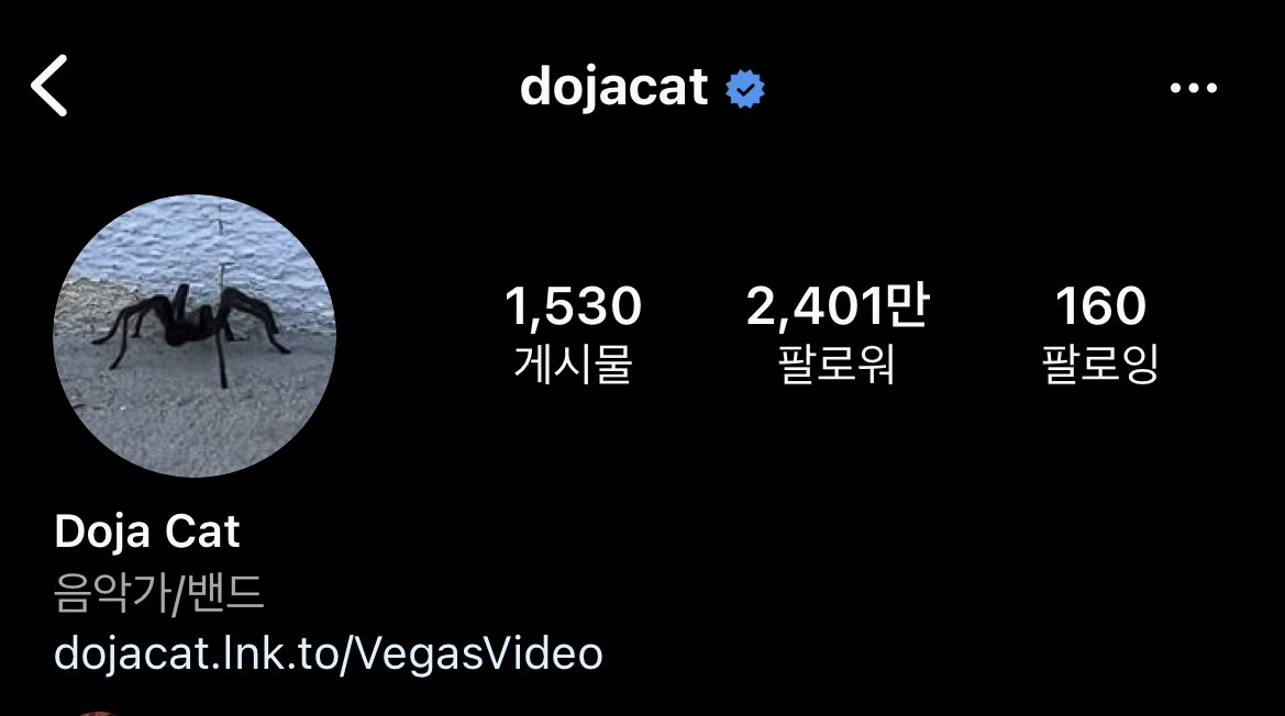 [잡담] 블핑도 거미컨셉인데 도자캣 프사도 거미래 | 인스티즈