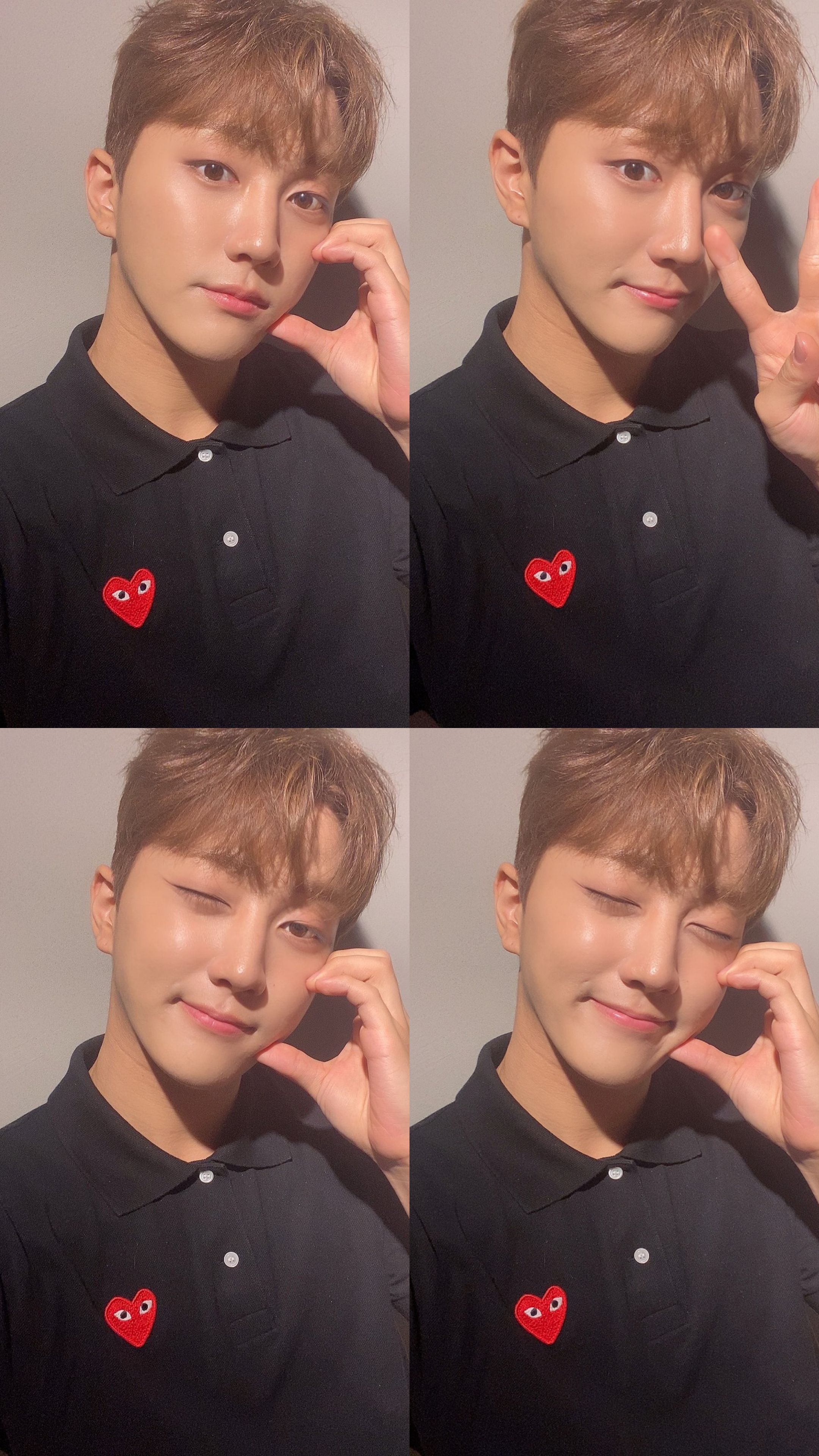 [잡담] 나 다시 여우파 할래 | 인스티즈